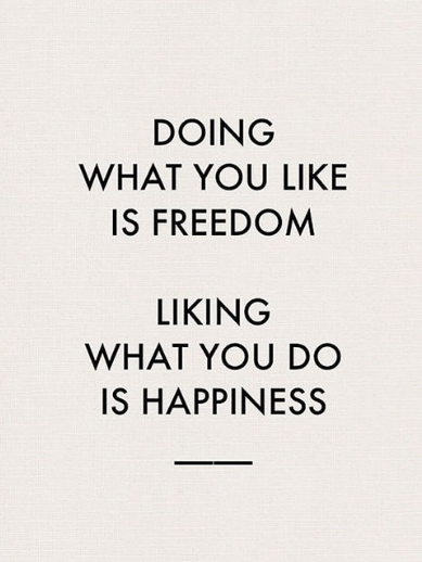 doing what you like is freedom, liking what you do is happiness